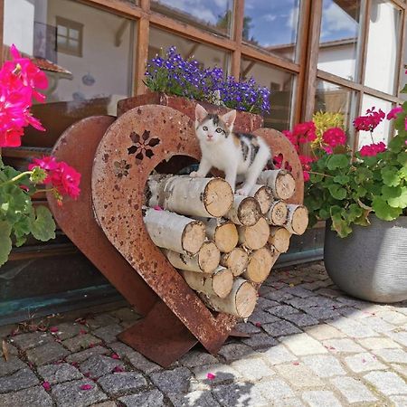 Ferienwohnung Bauernhof Suesshof Zwiesel Exterior foto